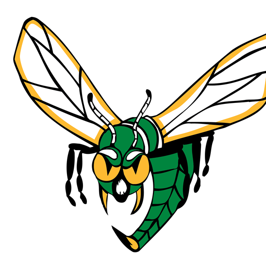 Edina Hornets Hockey